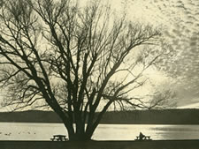 Photographs at Croton Point Park, 1963 and 1984
